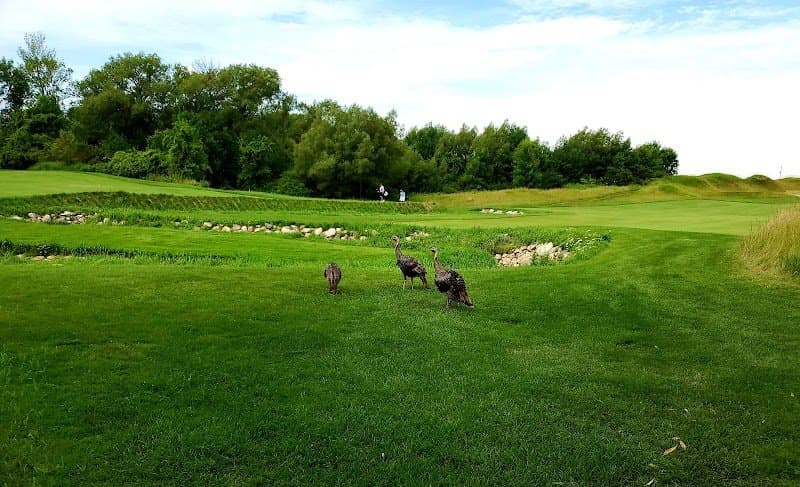Whistling Straits - Irish Course - Irish Course golf course